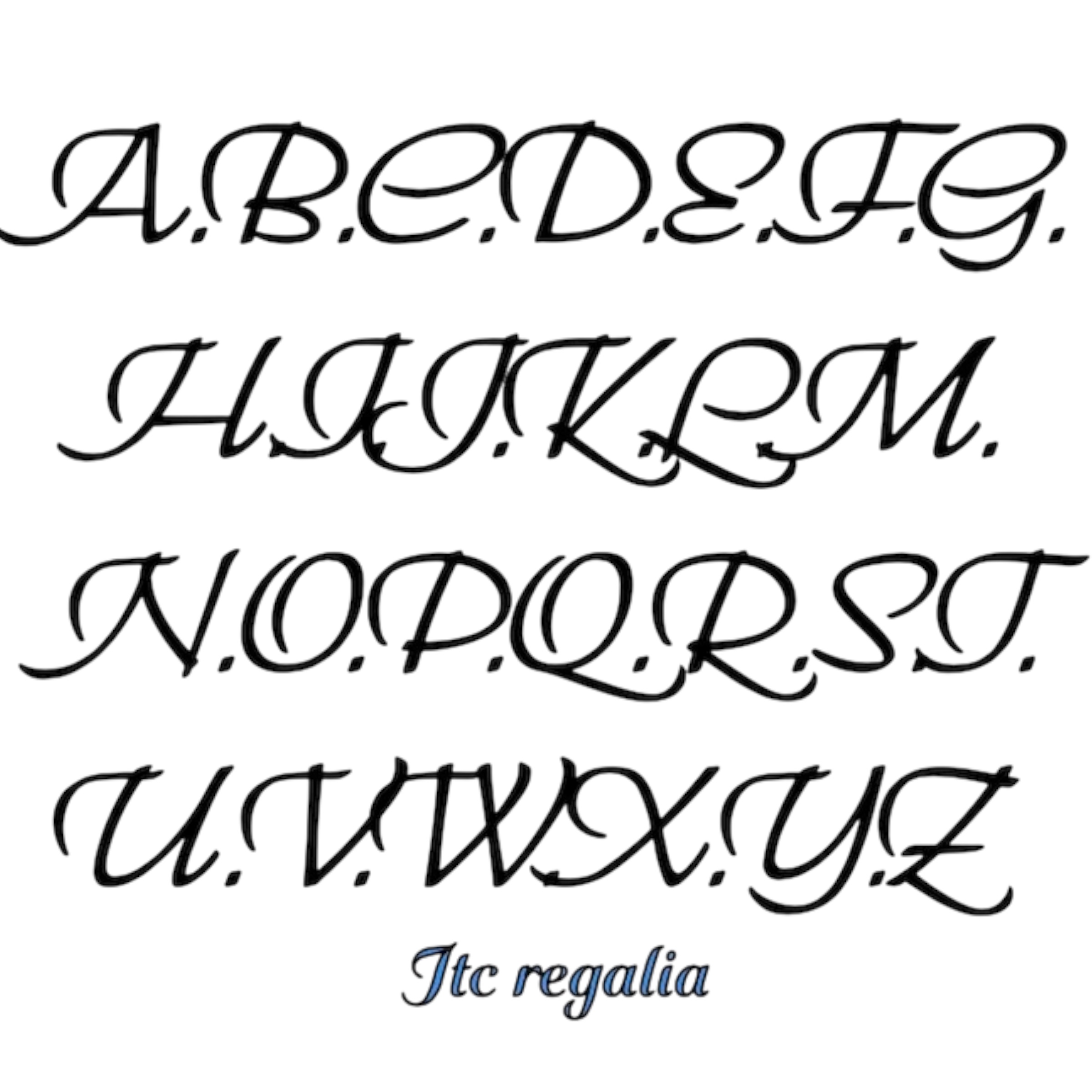 Protège carnet de santé – Image 12